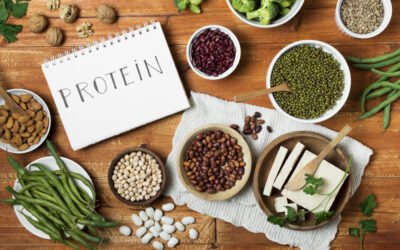 Plant protein benefits